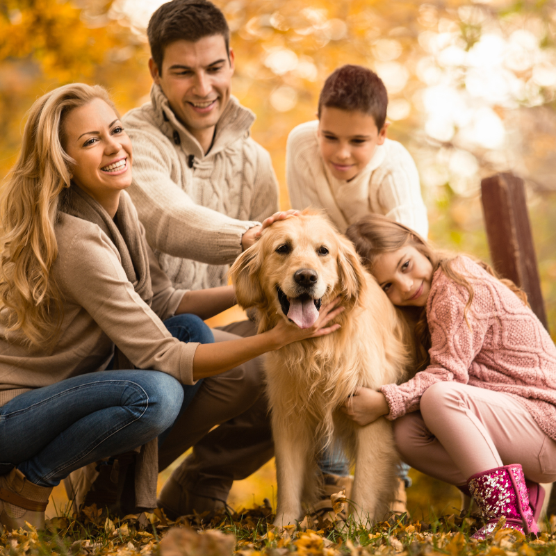 Piu-di-un-animale-un-membro-della-famiglia